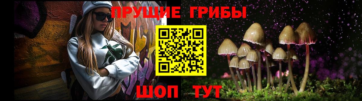 Славгород  Псилоцибиновые грибы прущие грибы  Вход с VPN 